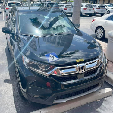 Driver Ed in Broward, Dade, and Palm Beach Counties | Pro Driving Academy
